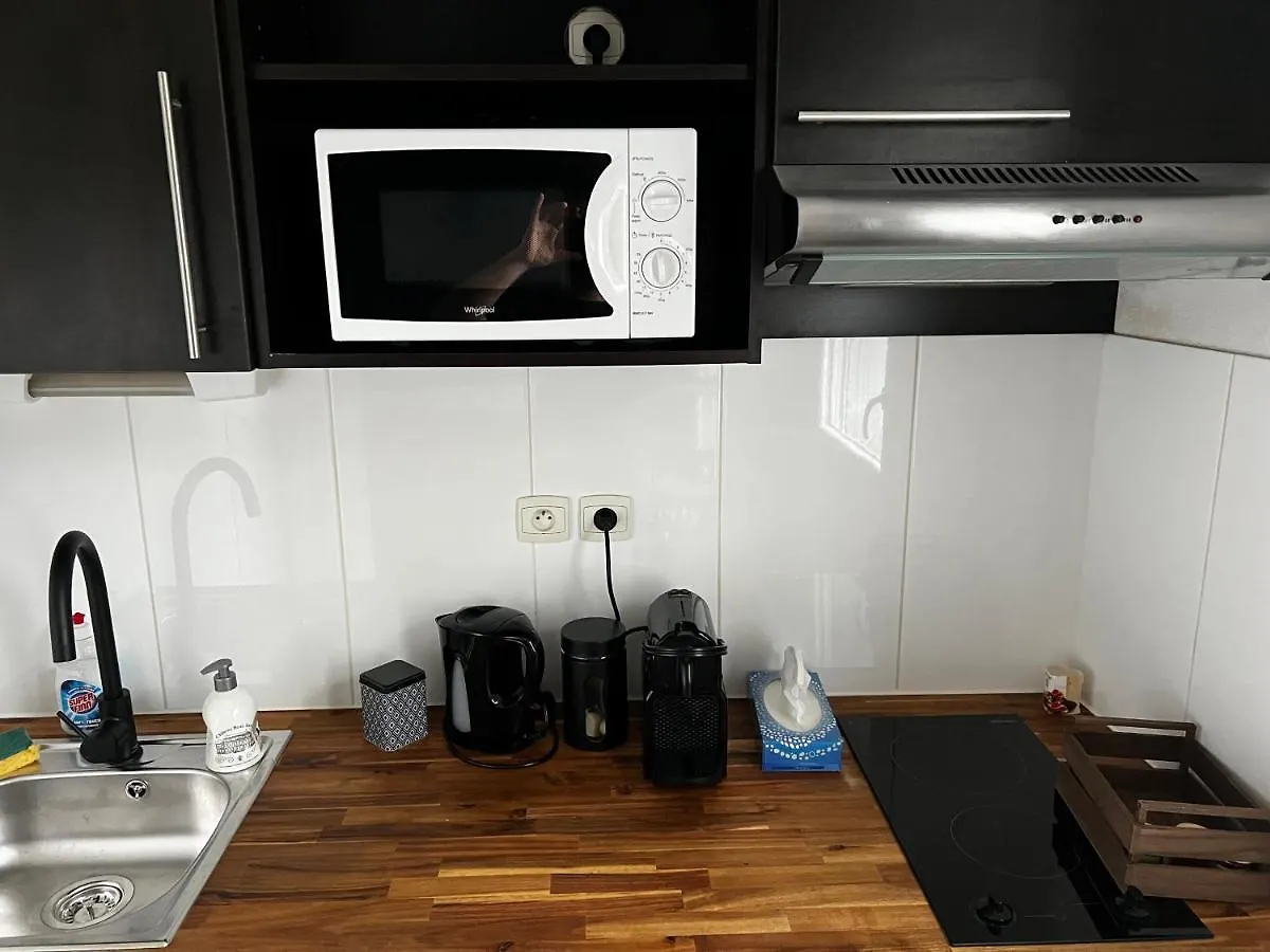 Secrete Loft Lägenhet Aucamville