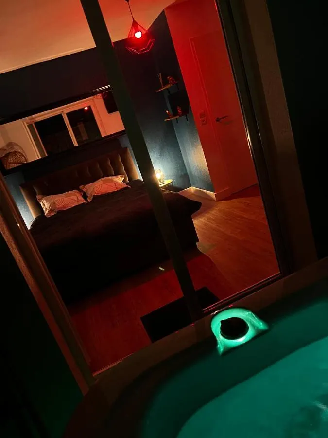 Secrete Loft Lägenhet Aucamville